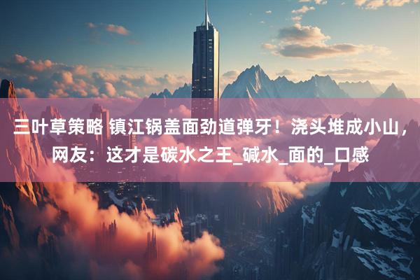 三叶草策略 镇江锅盖面劲道弹牙！浇头堆成小山，网友：这才是碳水之王_碱水_面的_口感