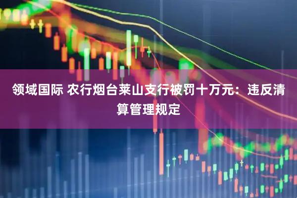 领域国际 农行烟台莱山支行被罚十万元：违反清算管理规定