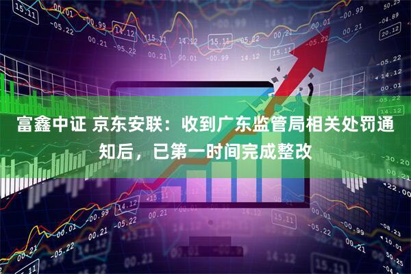 富鑫中证 京东安联：收到广东监管局相关处罚通知后，已第一时间完成整改