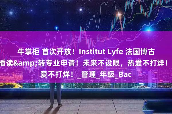 牛掌柜 首次开放！Institut Lyfe 法国博古斯厨艺学院本科插读&转专业申请！未来不设限，热爱不打烊！_管理_年级_Bac