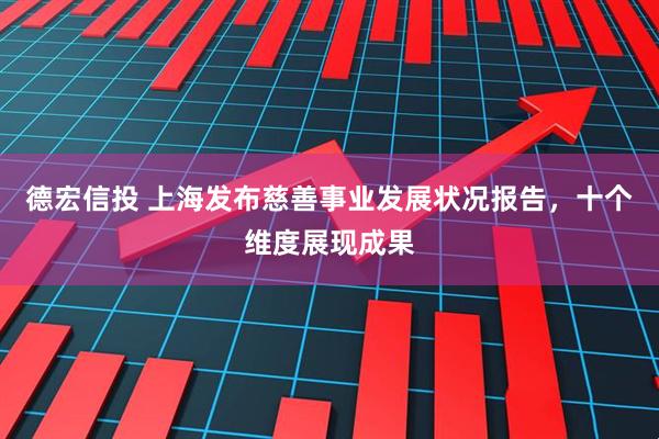 德宏信投 上海发布慈善事业发展状况报告，十个维度展现成果