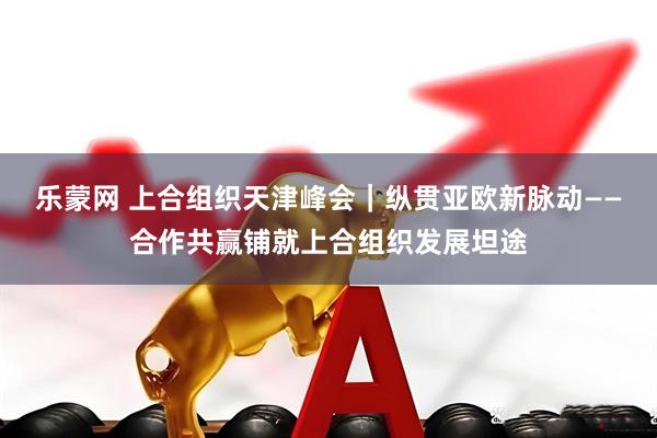 乐蒙网 上合组织天津峰会｜纵贯亚欧新脉动——合作共赢铺就上合组织发展坦途