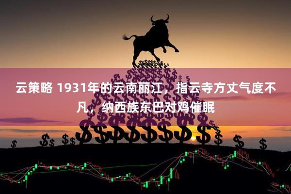 云策略 1931年的云南丽江，指云寺方丈气度不凡，纳西族东巴对鸡催眠