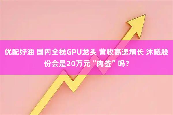 优配好油 国内全栈GPU龙头 营收高速增长 沐曦股份会是20万元“肉签”吗？